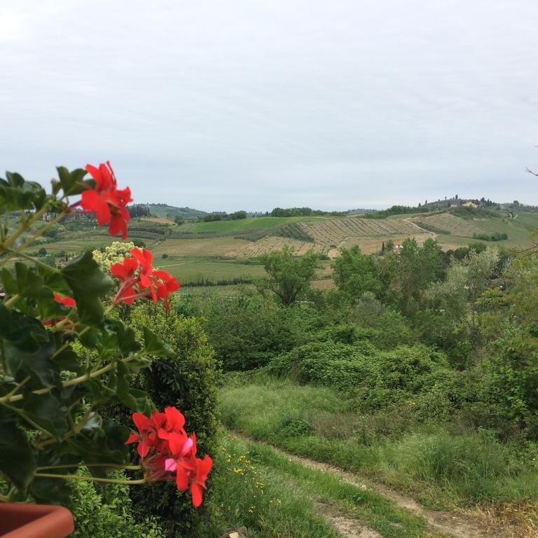 Casina Rosa Apartment Certaldo Cameră foto